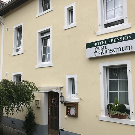Pension Alt-Gunsenum Mainz Buitenkant foto